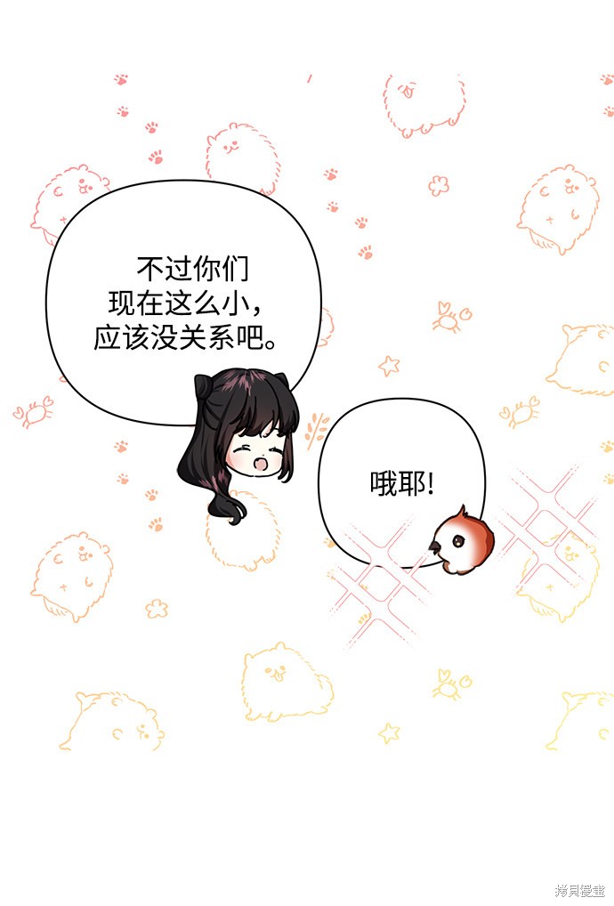 第 58 页
