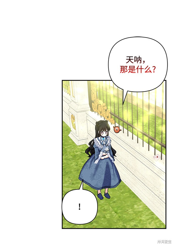 第 61 页