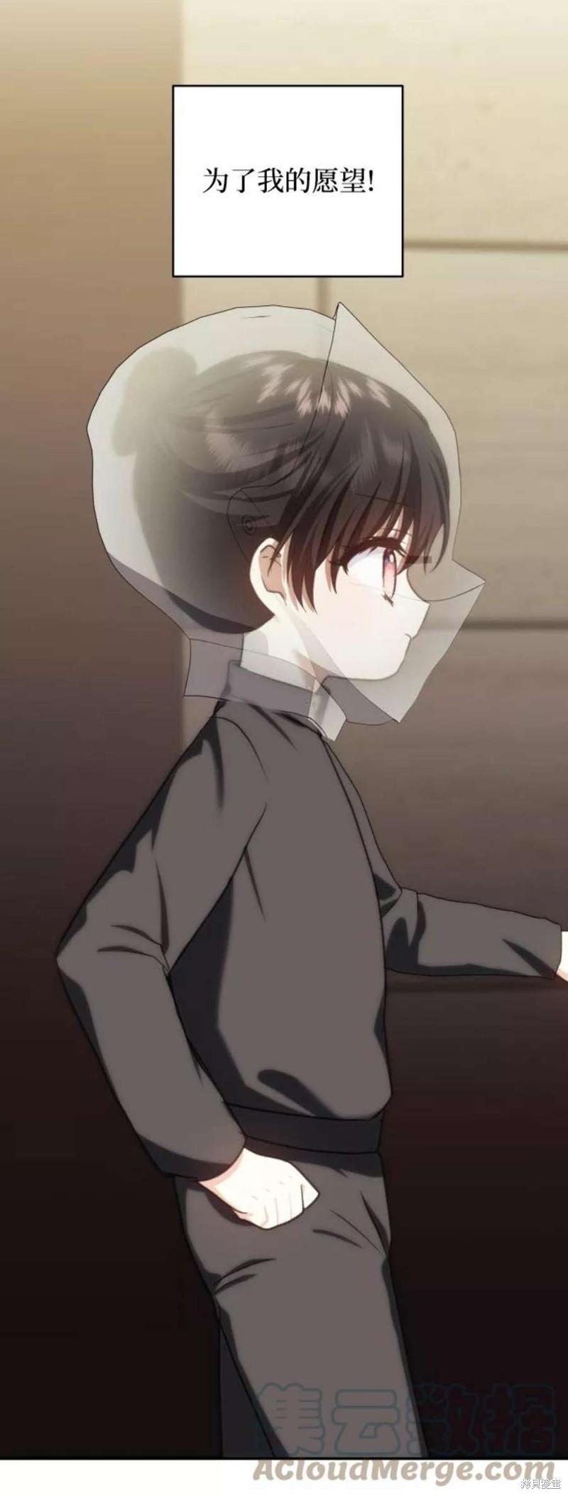 第 65 页