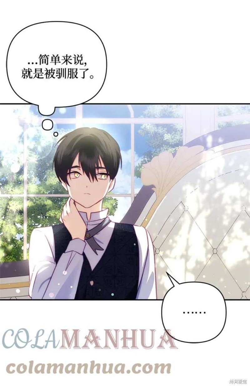 第 46 页