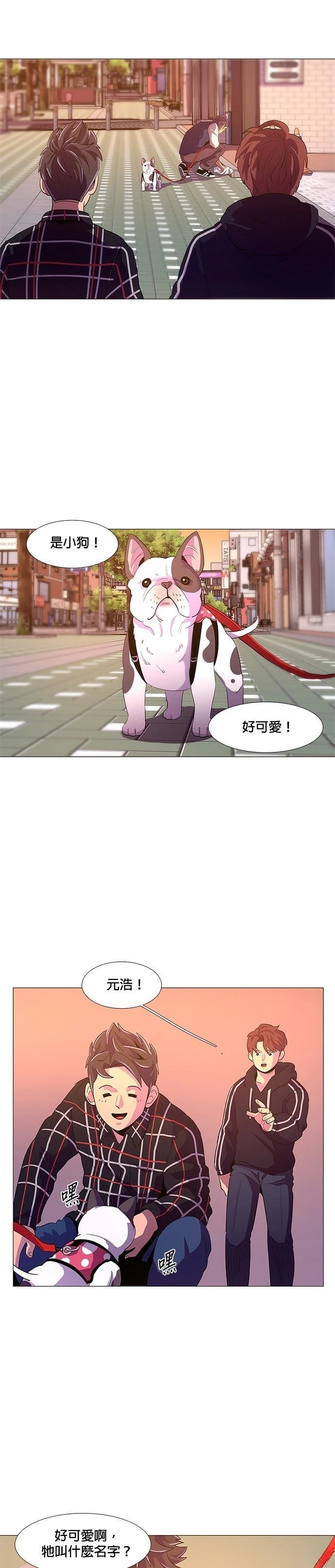 第 20 页