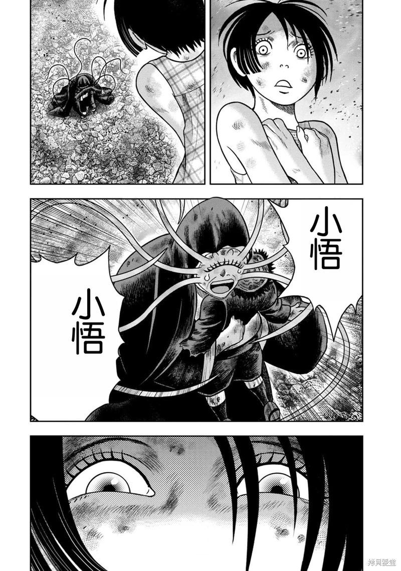 第 20 页