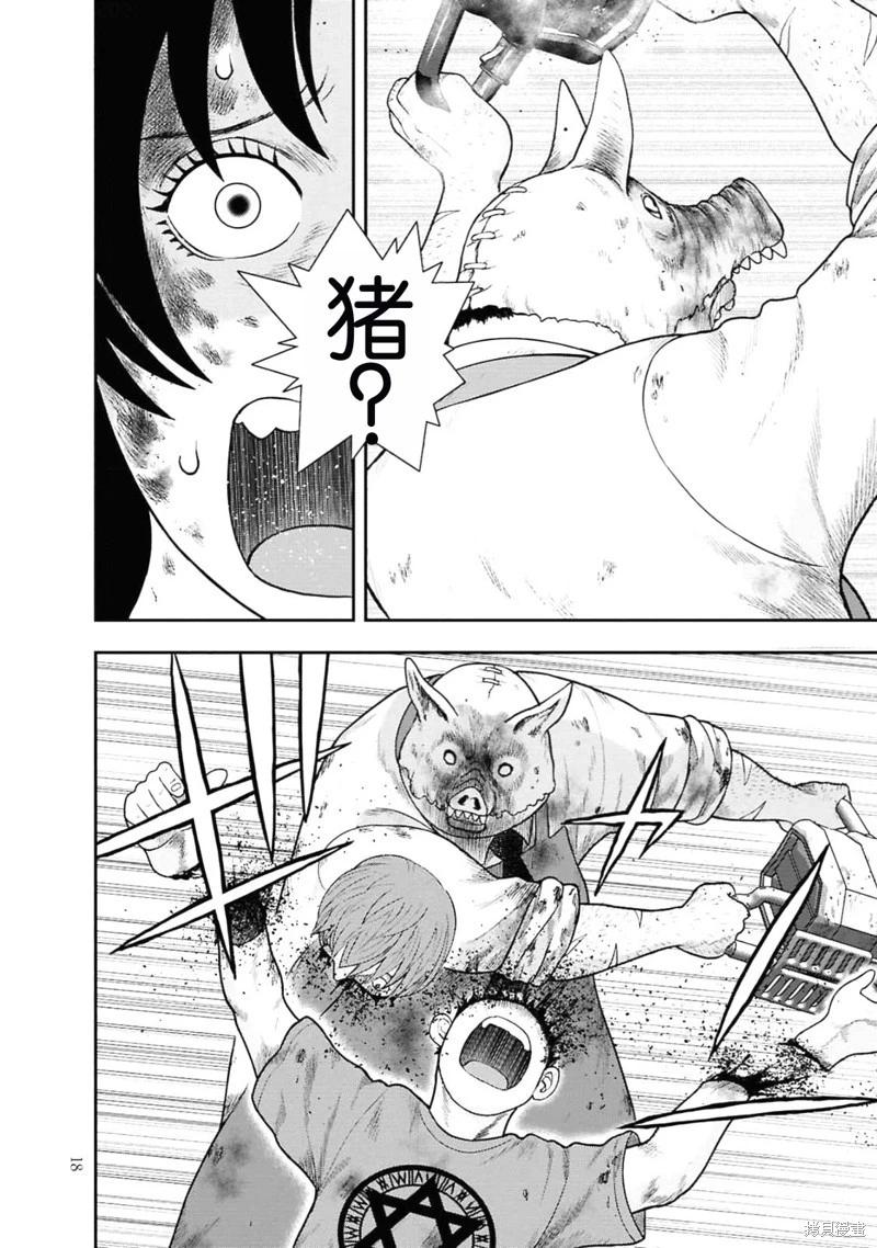 第 17 页