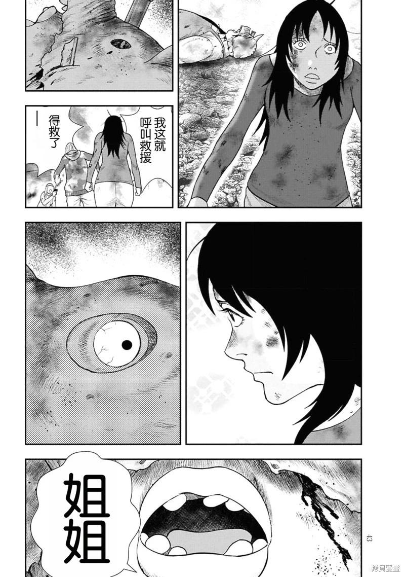 第 41 页