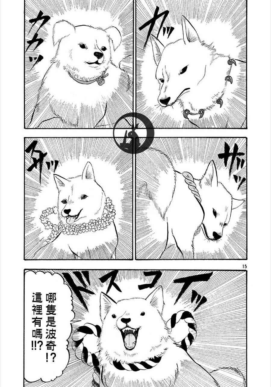 第 15 页