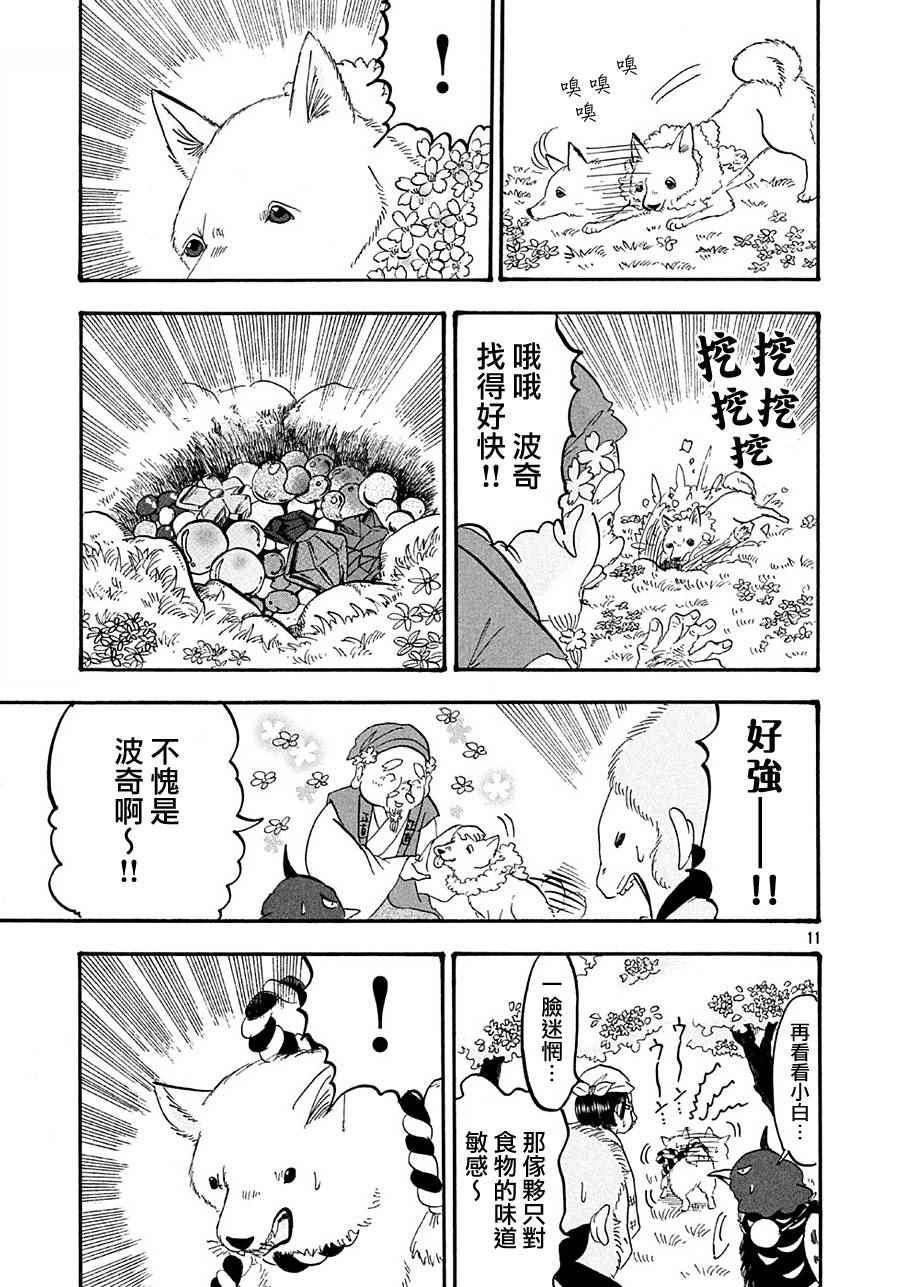 第 11 页