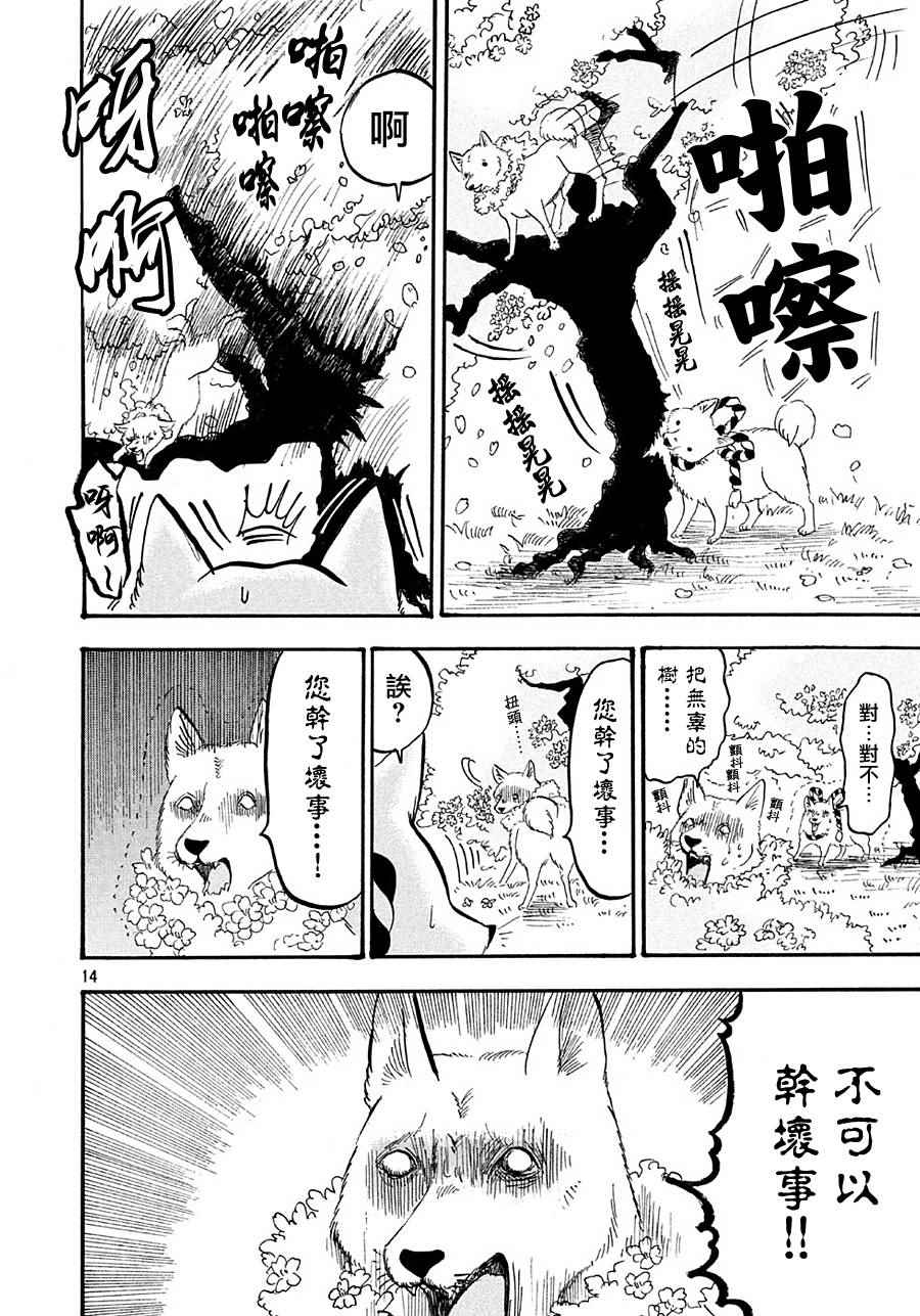 第 14 页