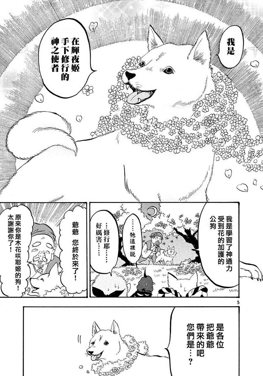 第 5 页