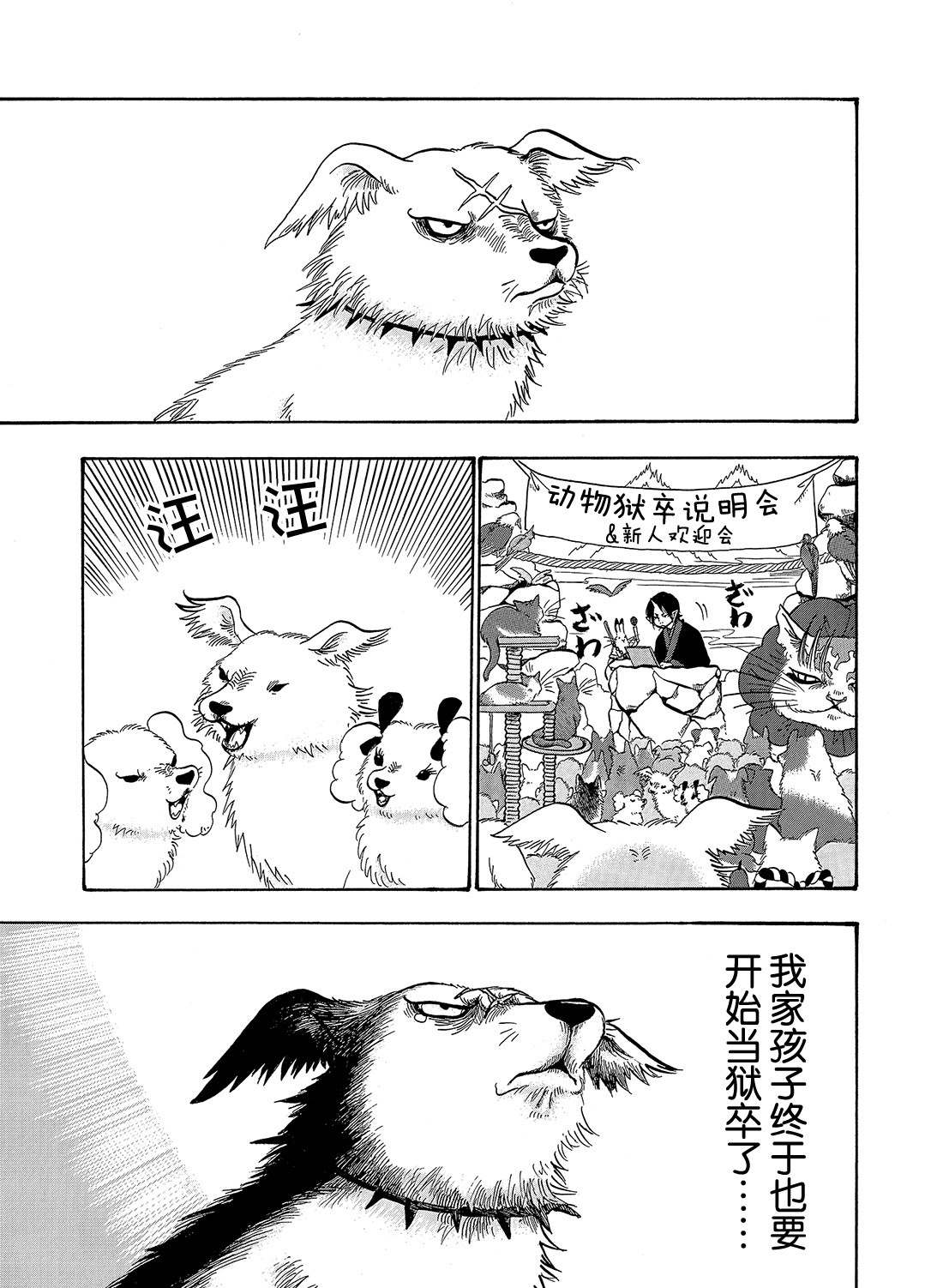 第 1 页