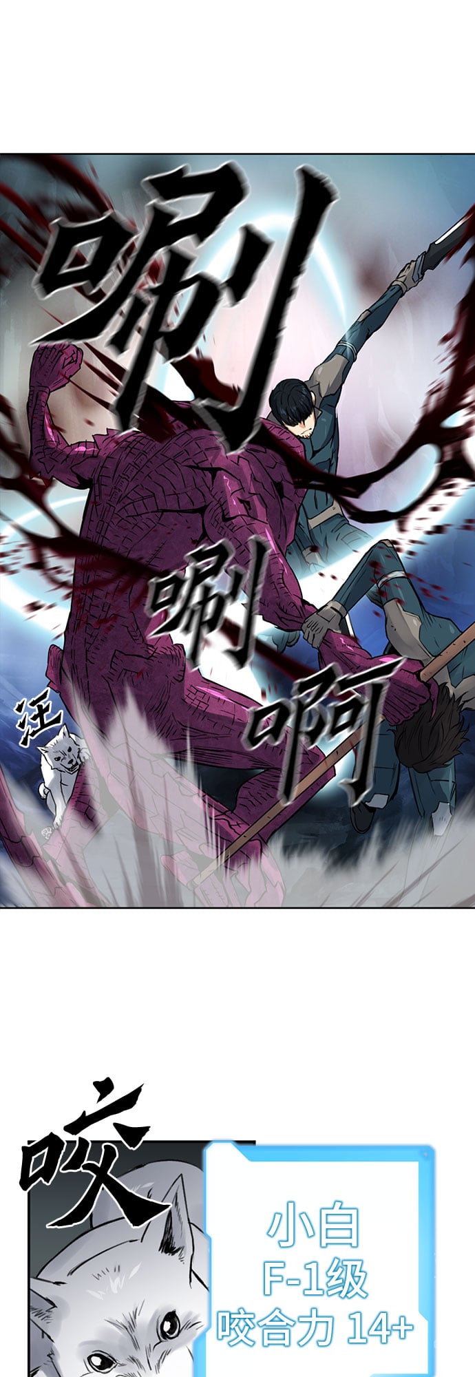 第 35 页
