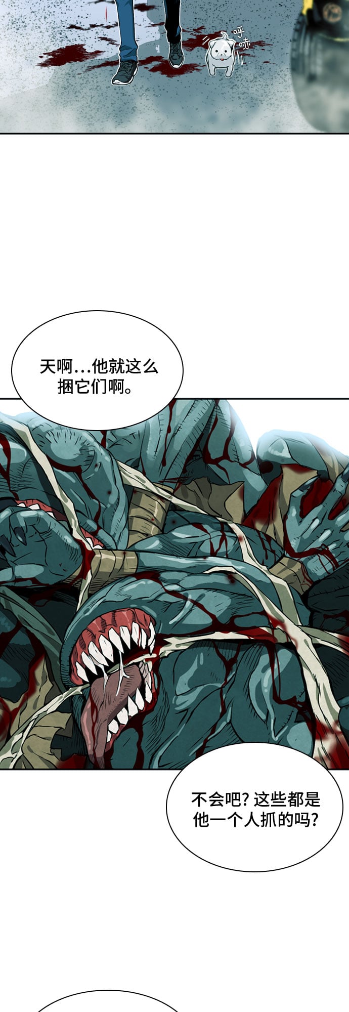 第 38 页
