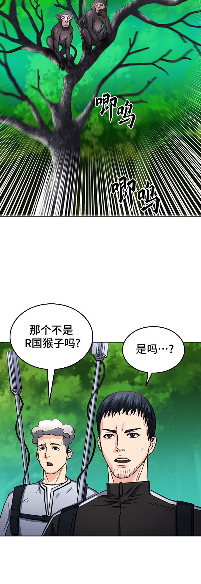 第 48 页