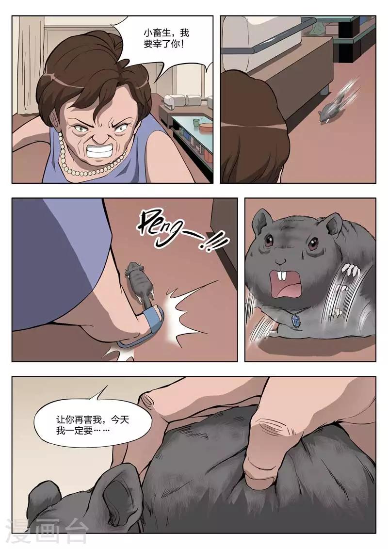 第 33 页