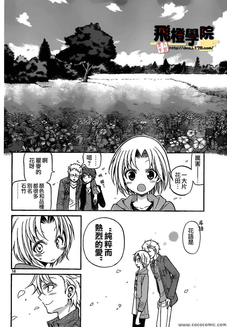 第 16 页