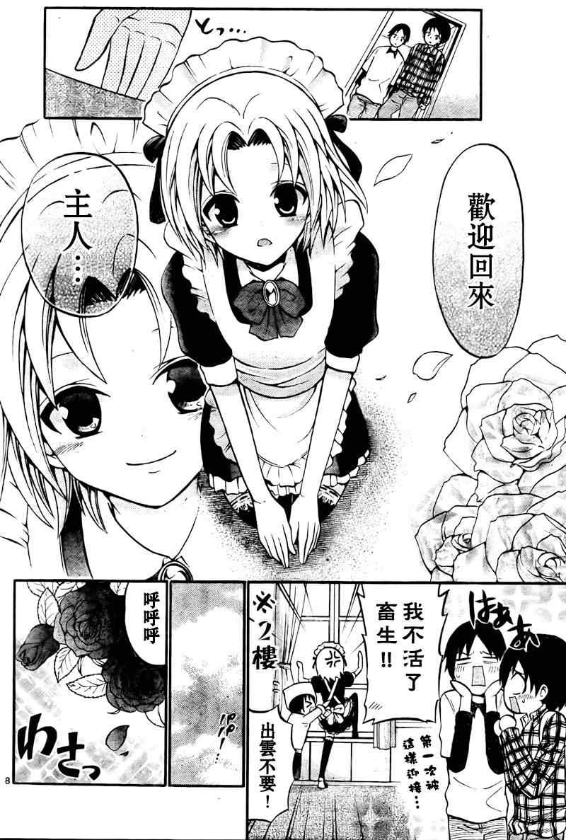 第 7 页