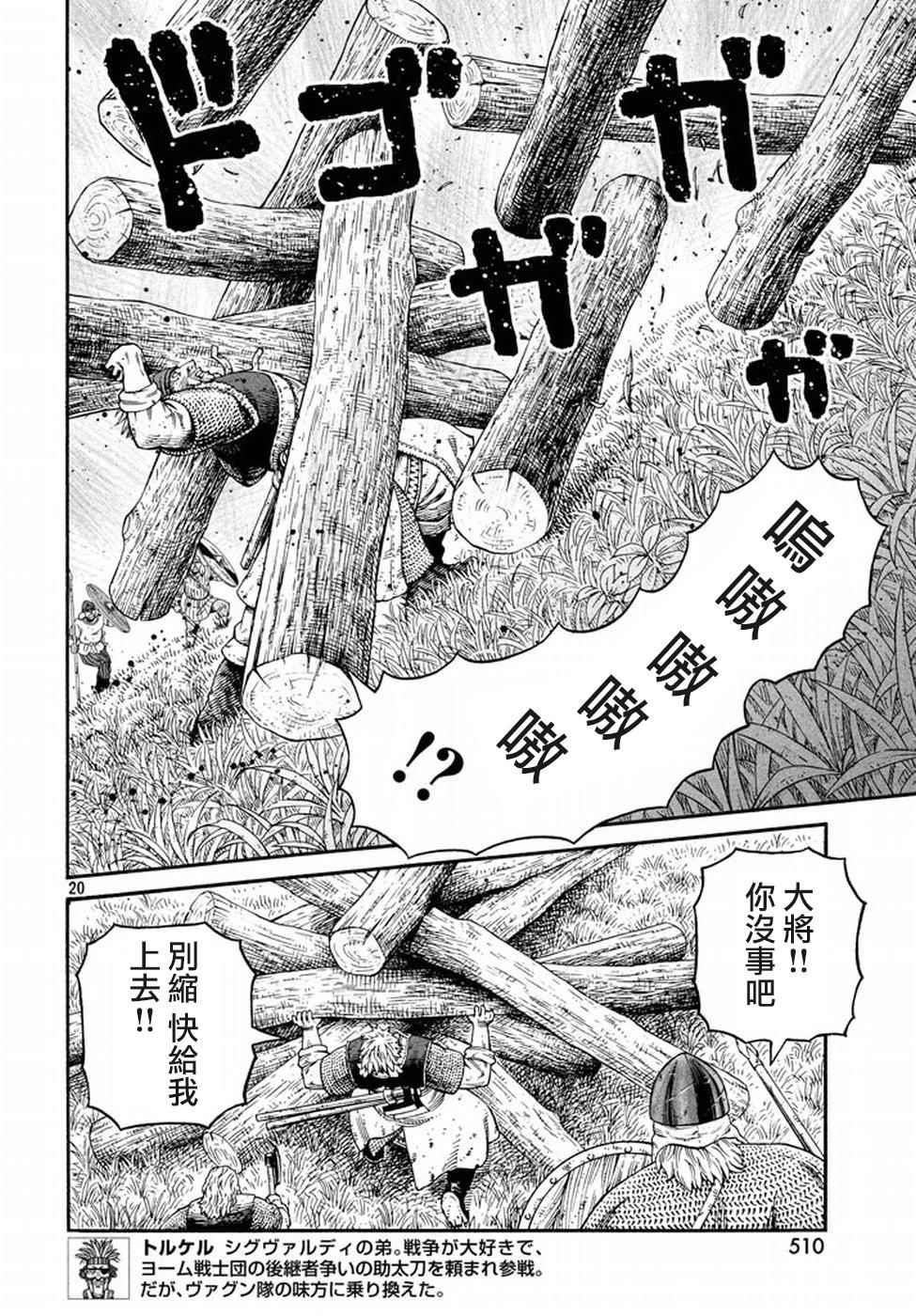 第 20 页