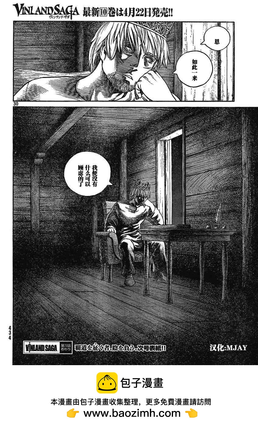 第 30 页