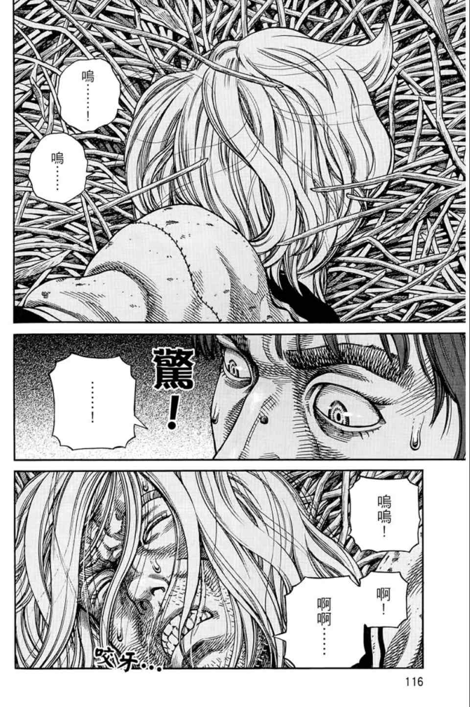 第 117 页