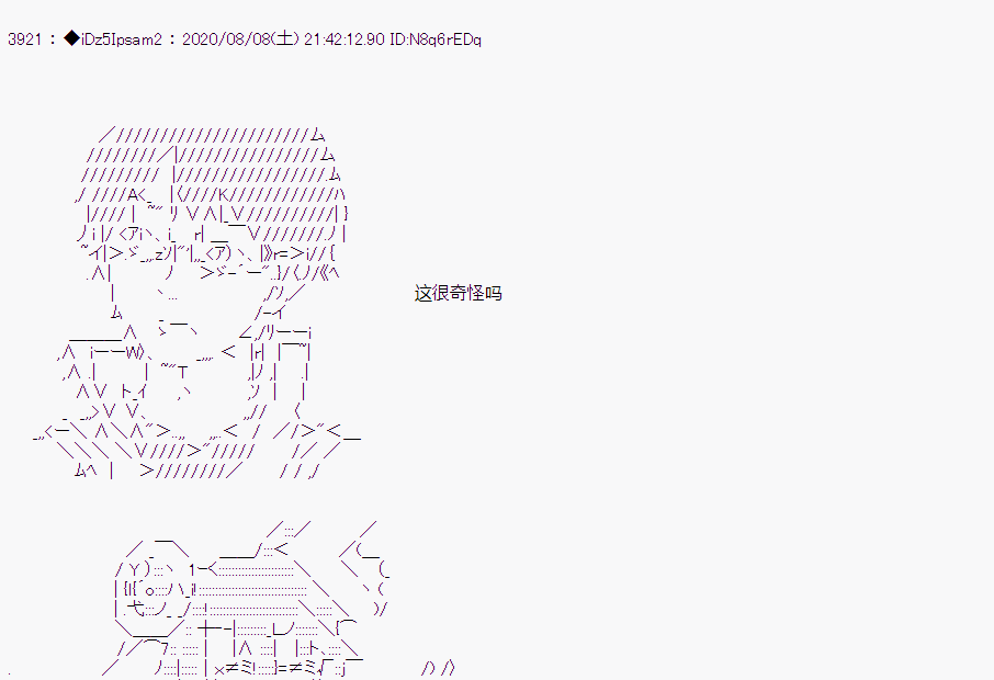 第 48 页