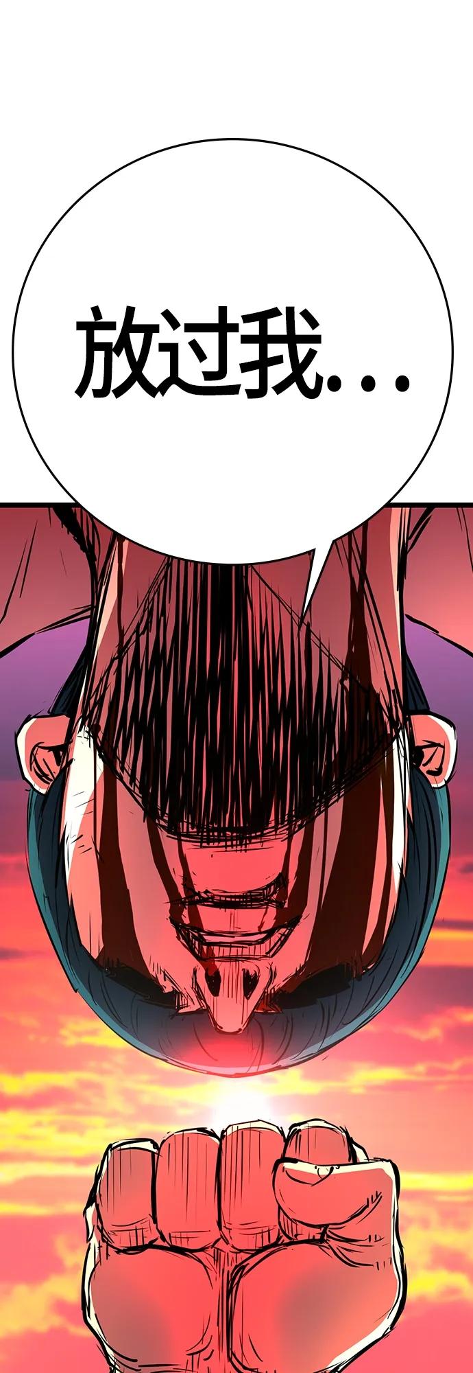 第 113 页