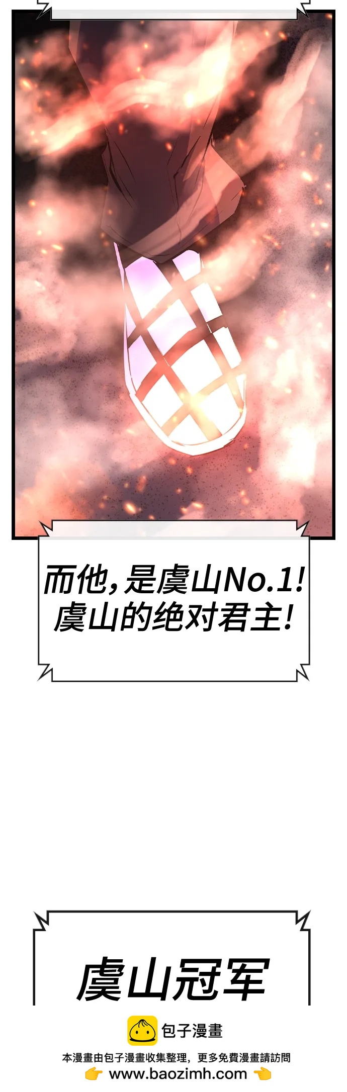 第 100 页