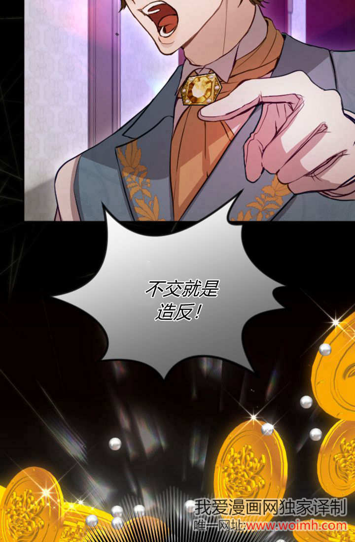 第 61 页