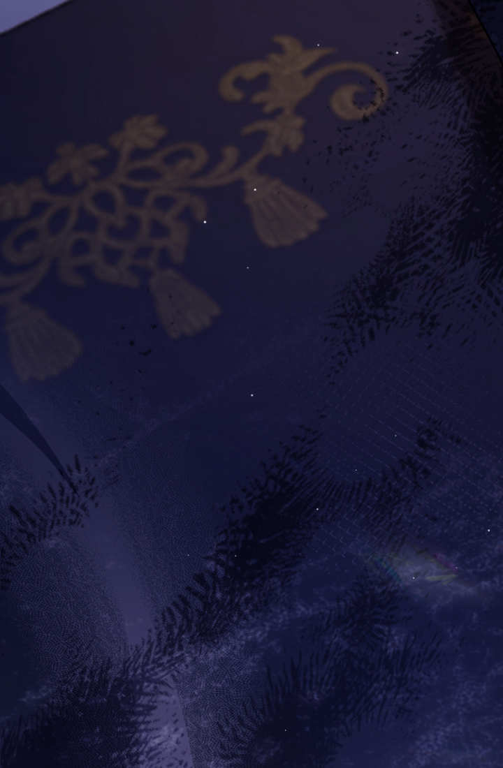 第 106 页