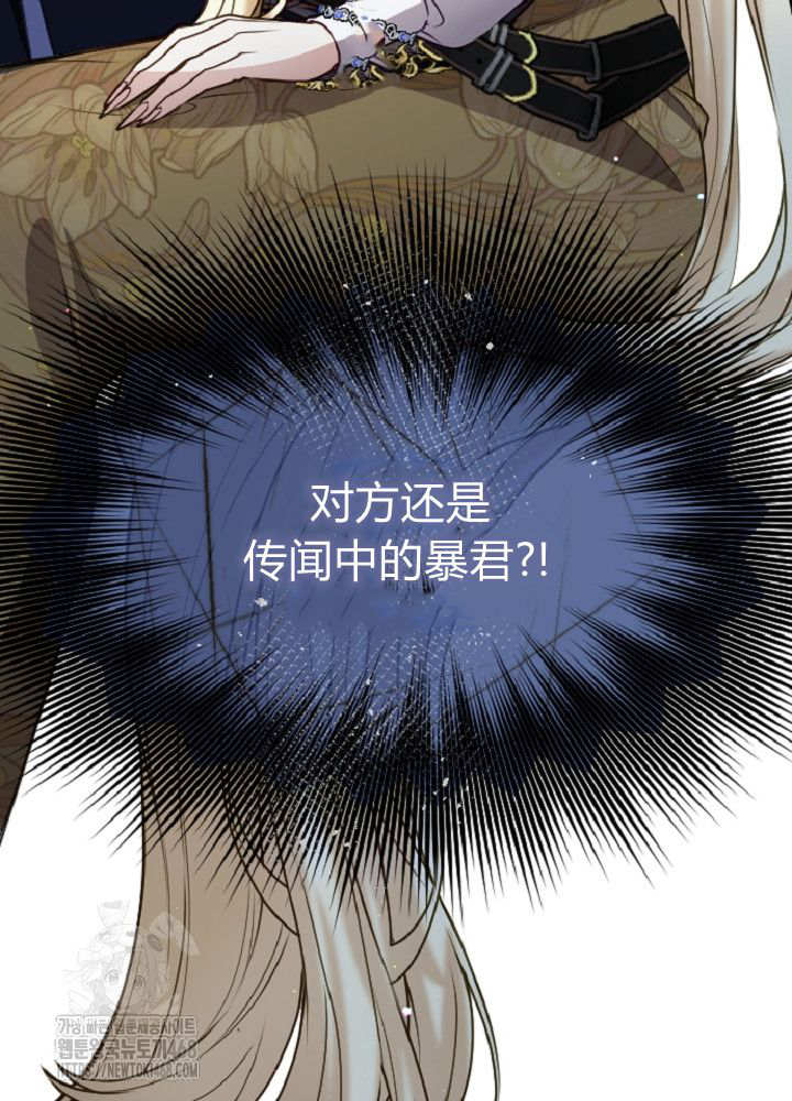 第 111 页