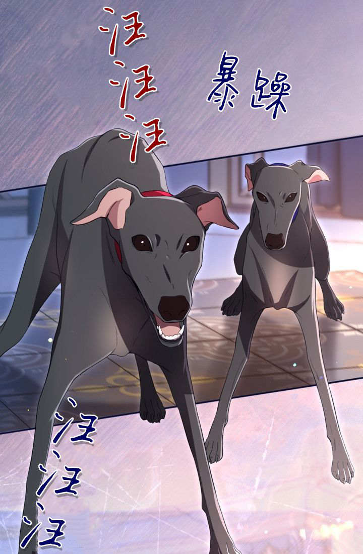 第 53 页