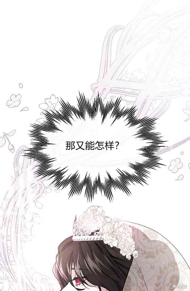 第 113 页
