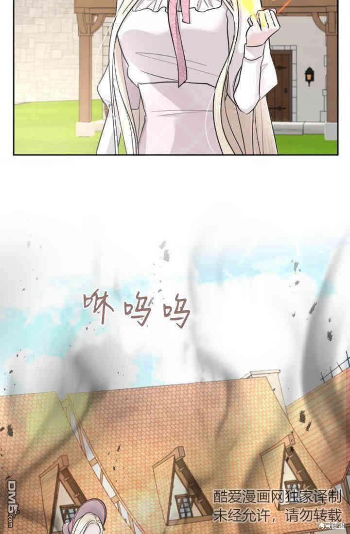 第 66 页