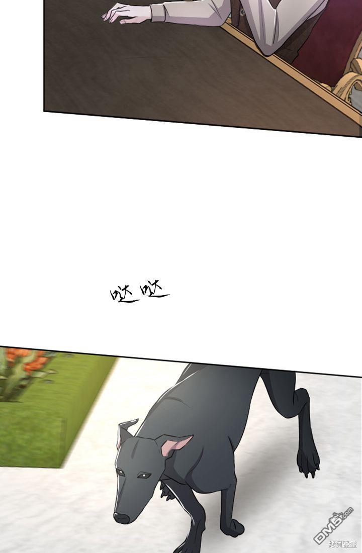 第 41 页