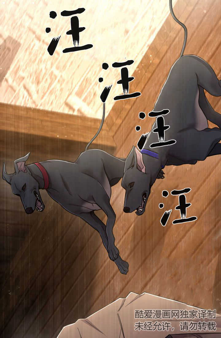 第 43 页