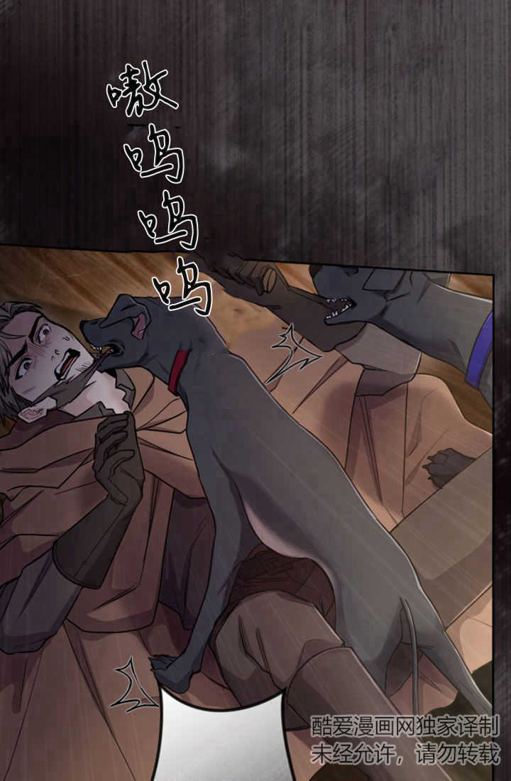 第 49 页