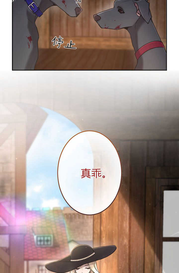 第 64 页