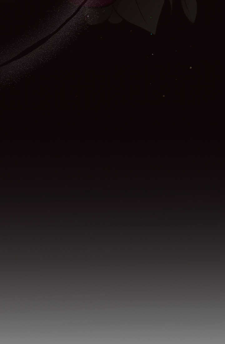 第 101 页