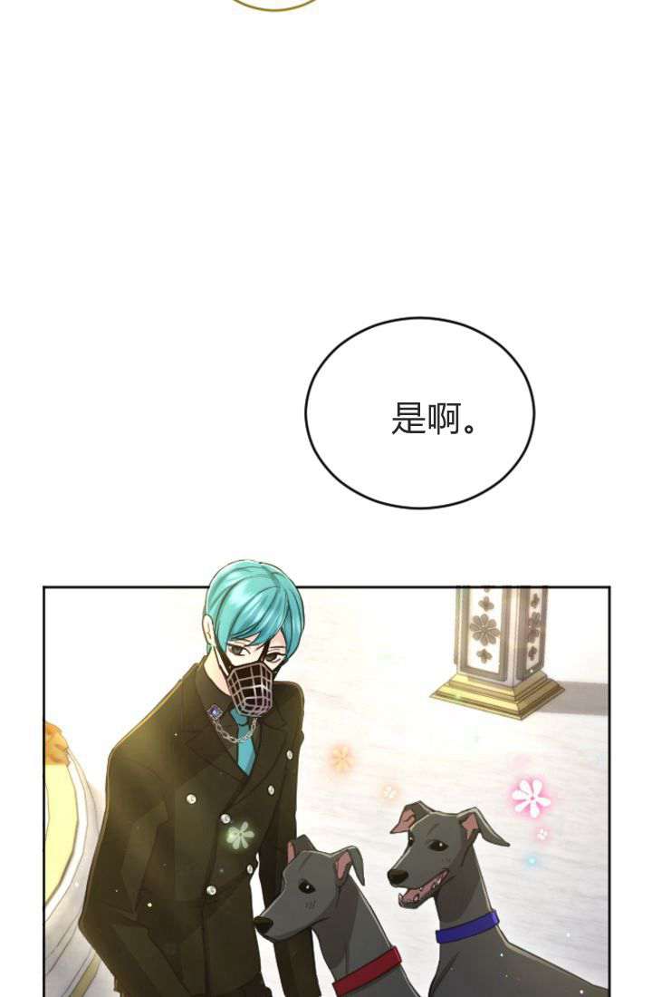 第 54 页