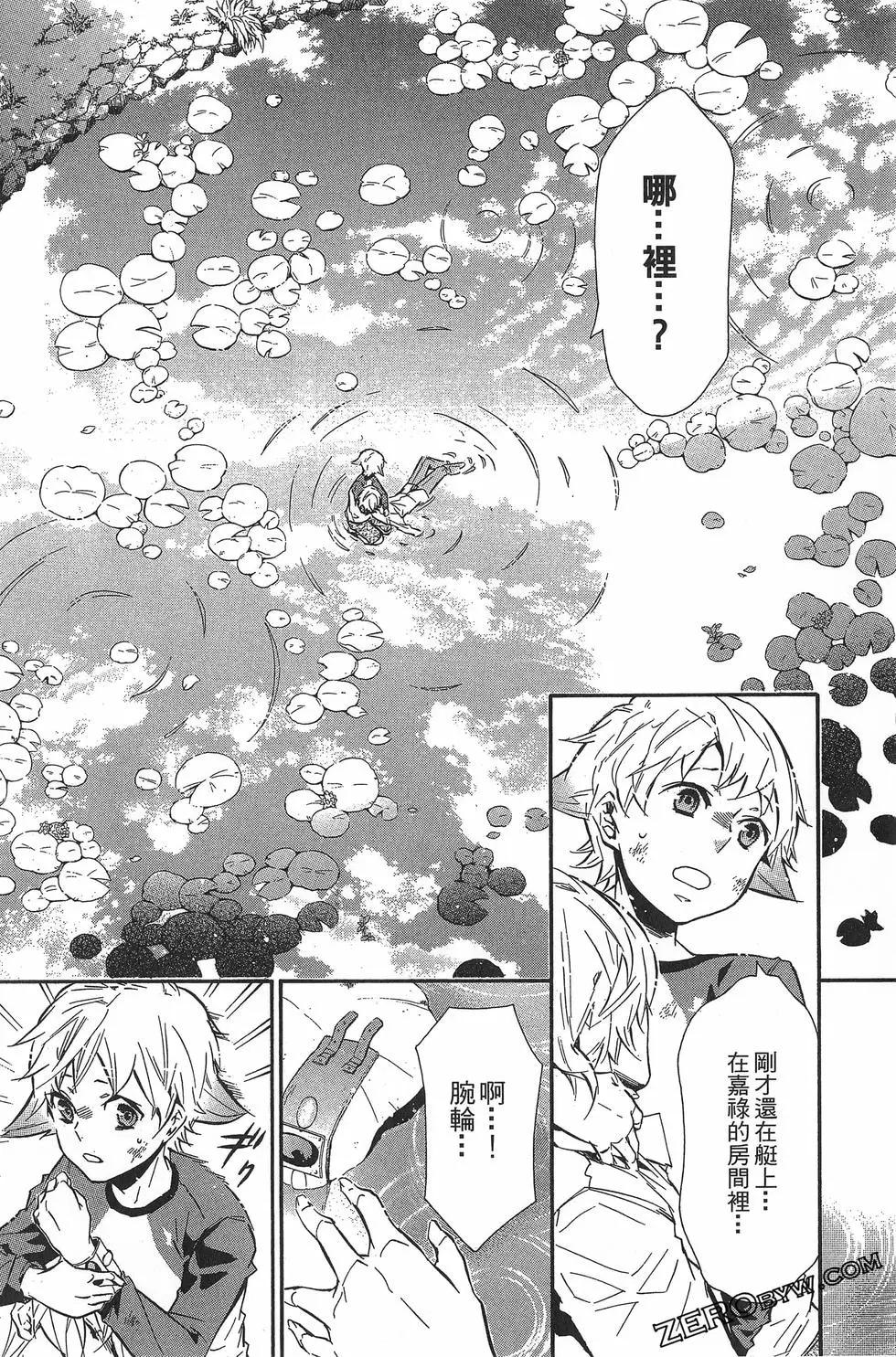 第 31 页