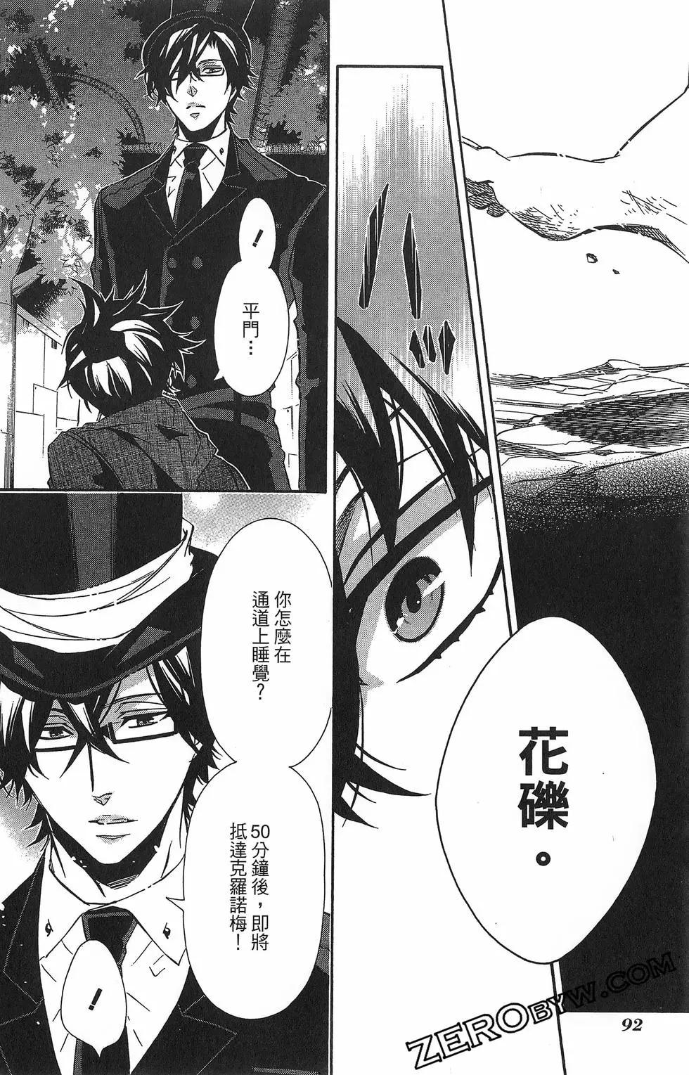 第 95 页