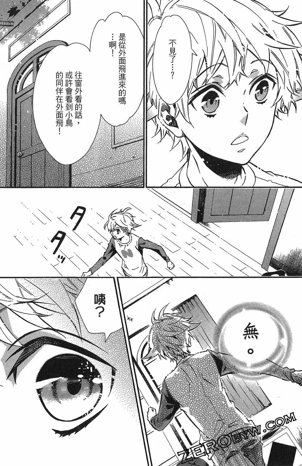 第 31 页