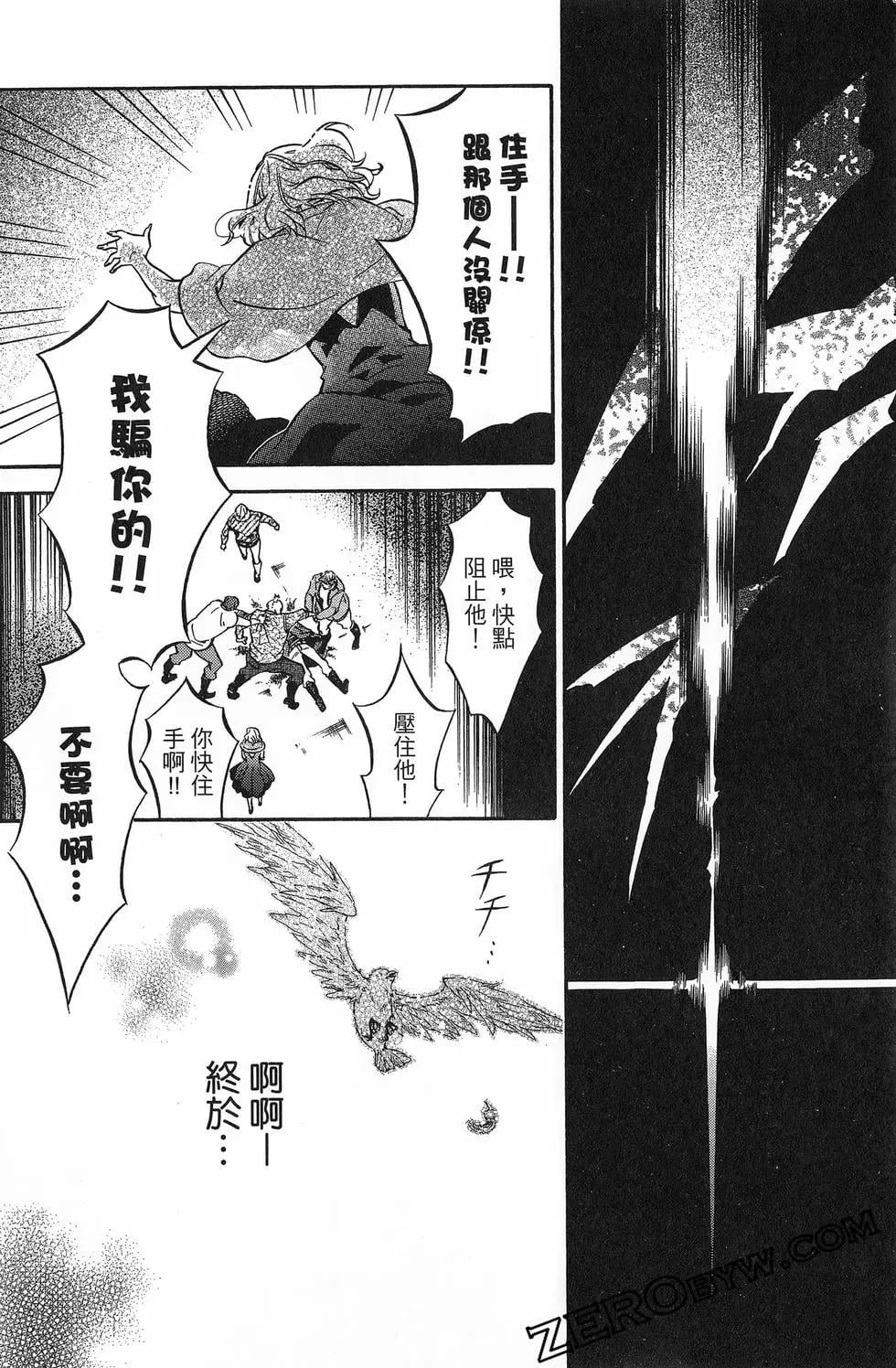 第 41 页