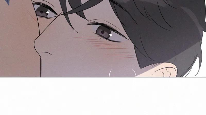 第 113 页