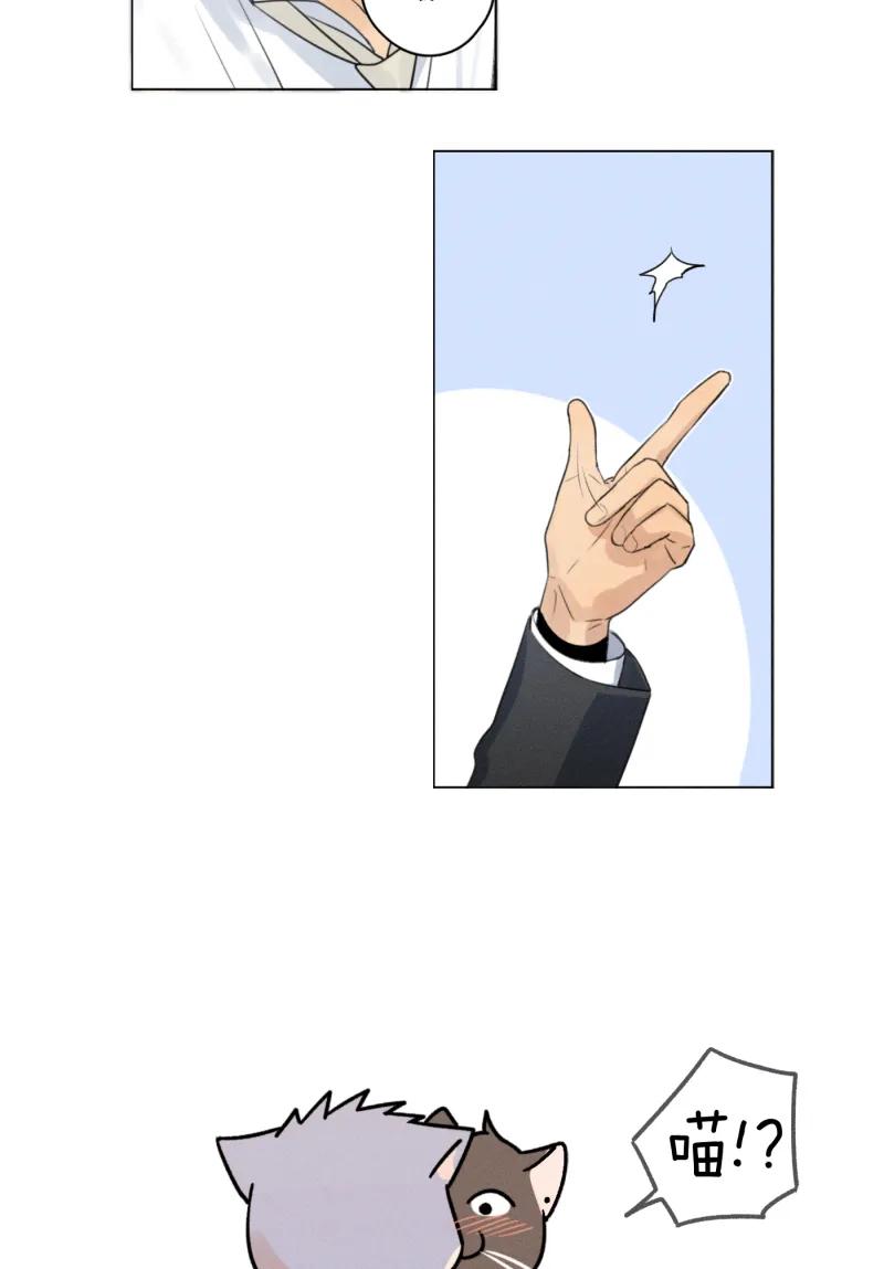 第 98 页