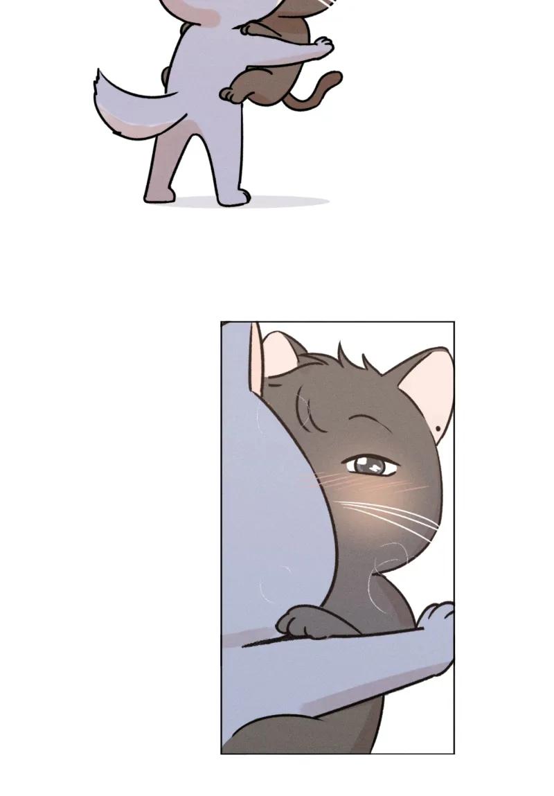 第 99 页