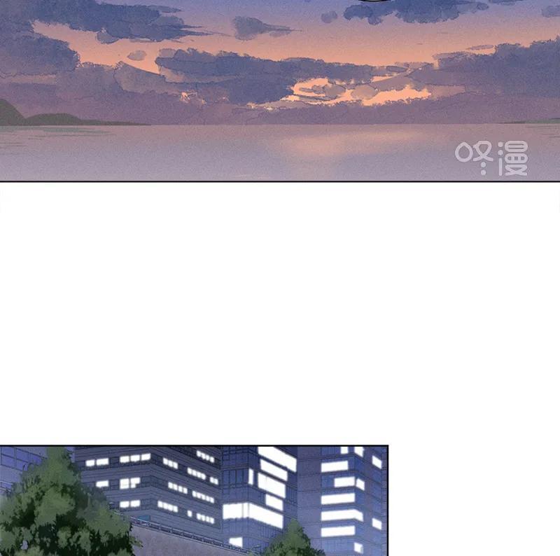 第 95 页