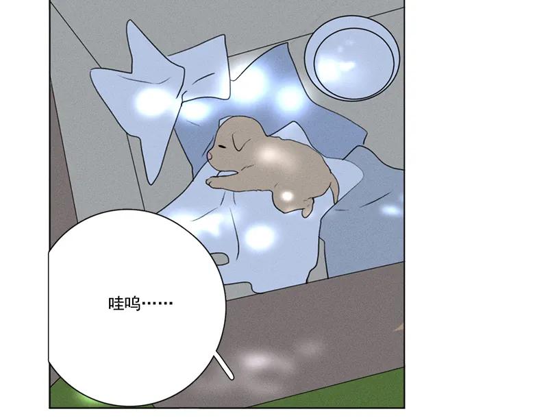 第 44 页