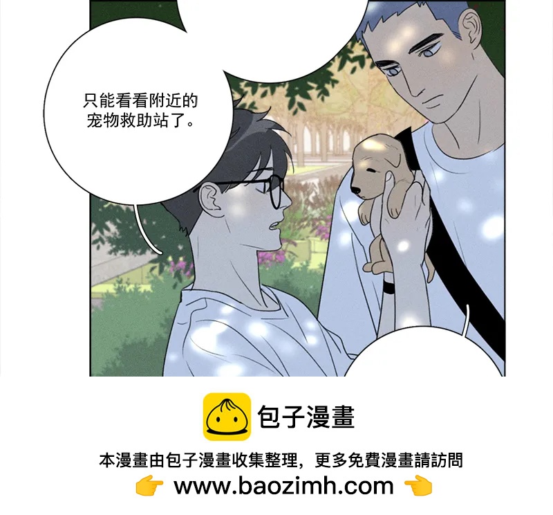 第 50 页