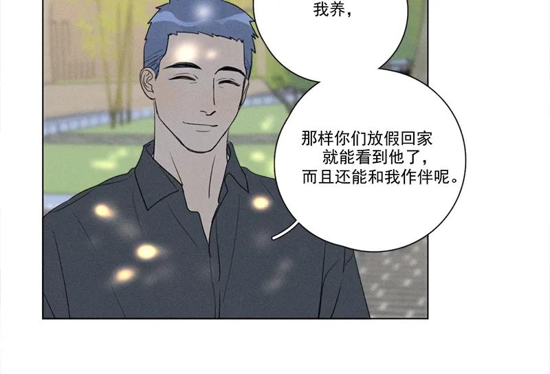 第 53 页