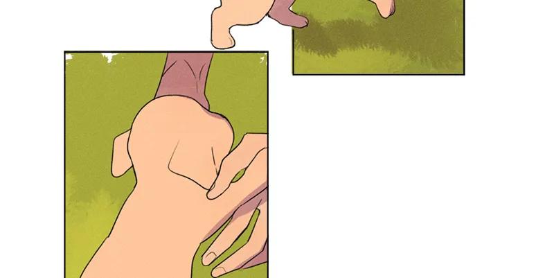 第 69 页