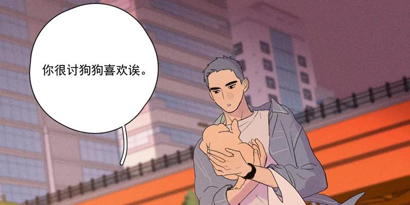 第 71 页